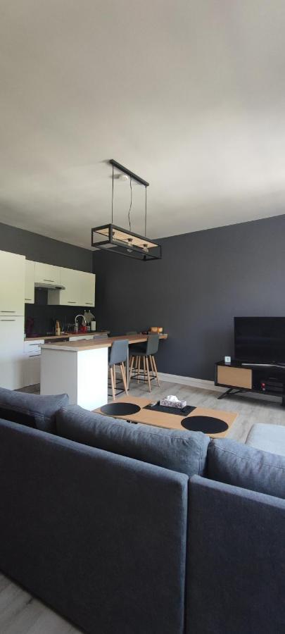 Appartement D'Hippolyte - Vue Musee Rimbaud Charleville-Mézières Екстериор снимка