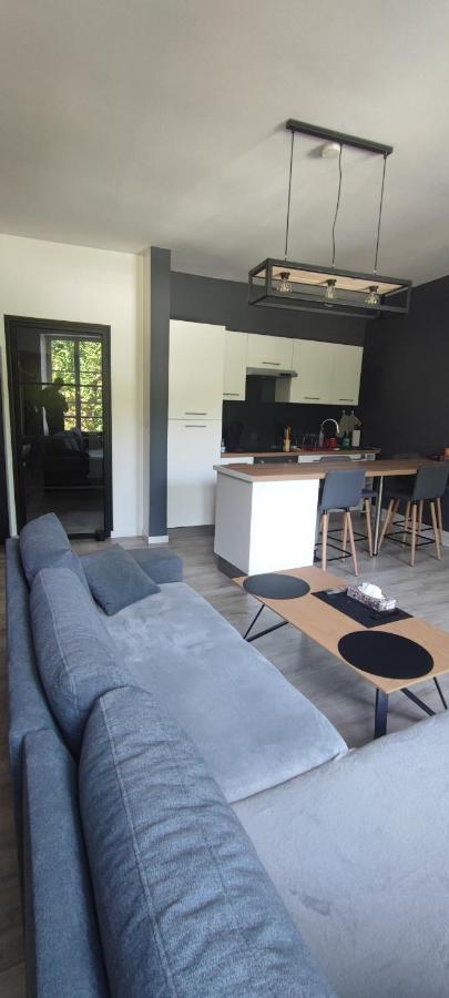 Appartement D'Hippolyte - Vue Musee Rimbaud Charleville-Mézières Екстериор снимка